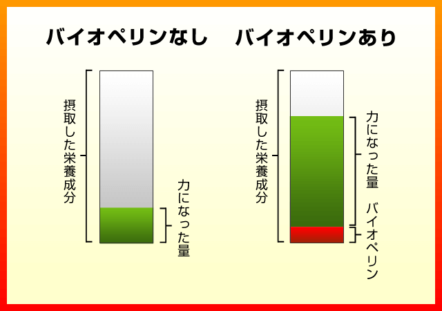 バイオペリン摂取の有無による栄養成分吸収率の違い